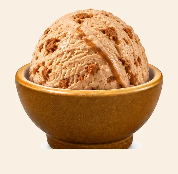 Biscoff — Mewadi Premium Ice-Cream