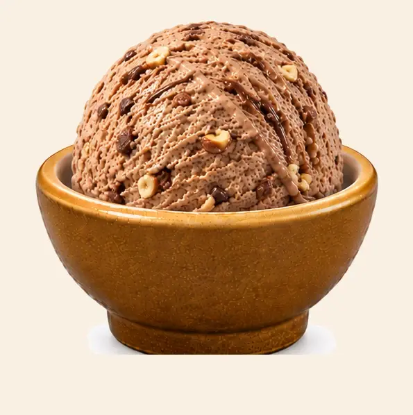 Ferrero Rocher — Mewadi Premium Ice-Cream