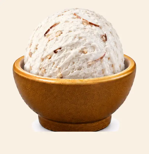 Coconut — Mewadi Real-Fruit Ice-Cream