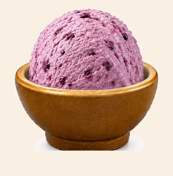 Jamun — Mewadi Real-Fruit Ice-Cream