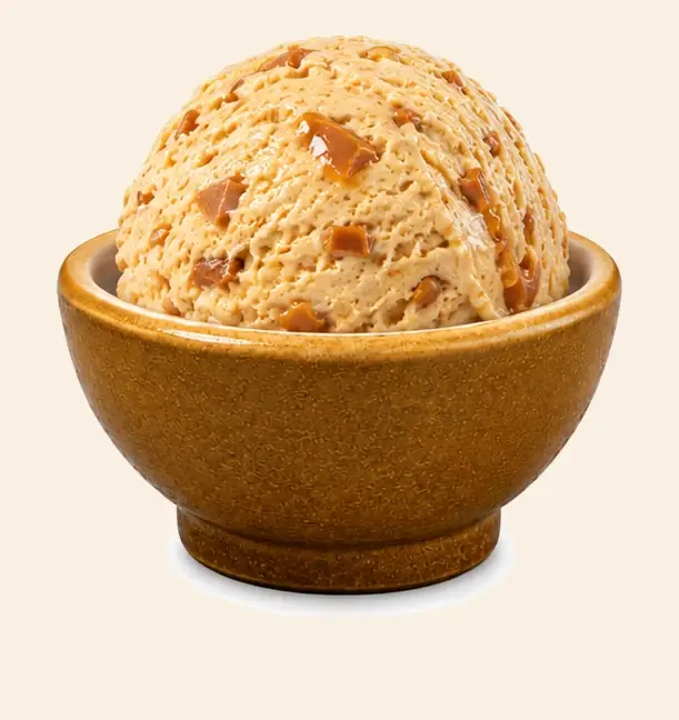 American Nuts — Mewadi Regular Ice-Cream